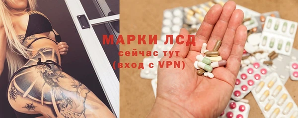 индика Армянск