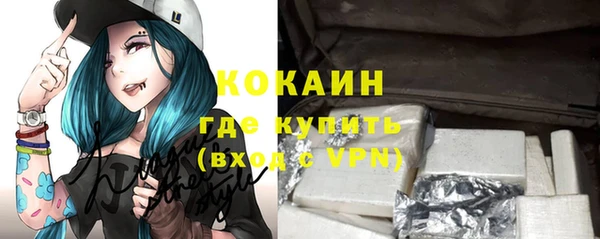 индика Армянск