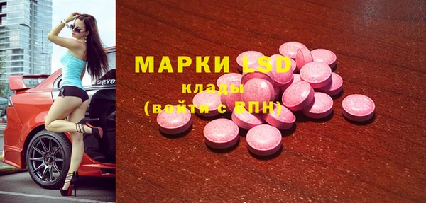 индика Армянск