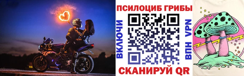 KRAKEN зеркало  Талица  Псилоцибиновые грибы Cubensis 